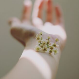 carolina-heza-zwPYmB1GlNE-unsplash
