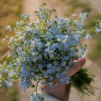 cropped-julia-zyablova-SySGB7Exnys-unsplash-scaled-1.jpg